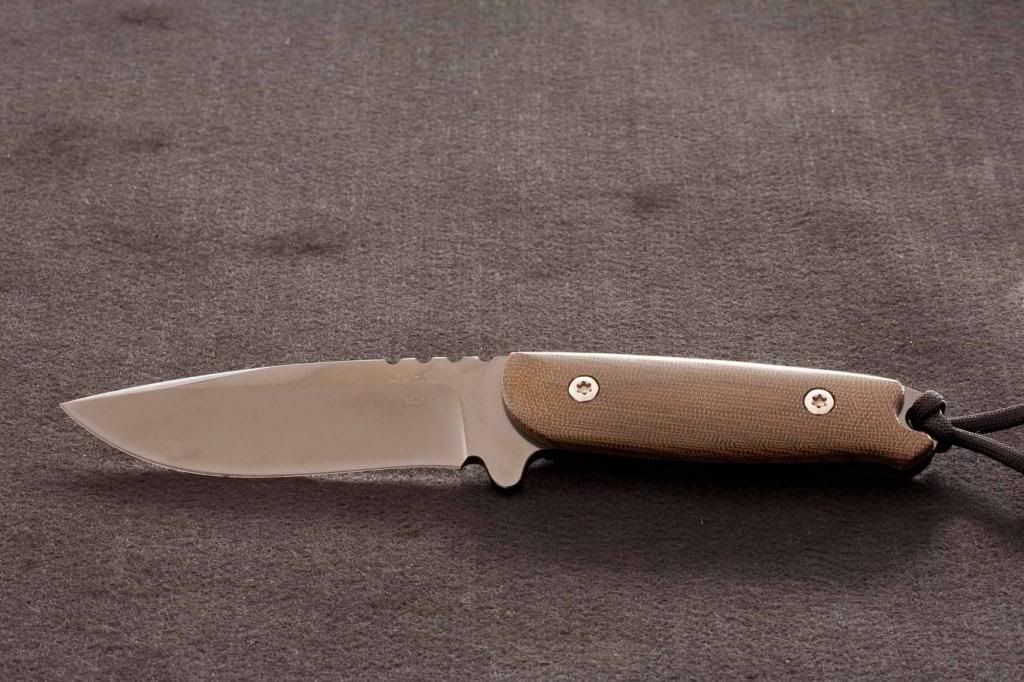 SchanzViper55Bild7_zps07a256e5.jpg