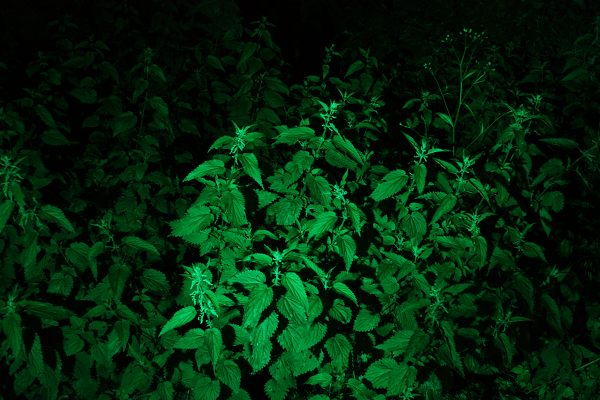 Nitecore_SRT_7-08_750_x_400_.jpg