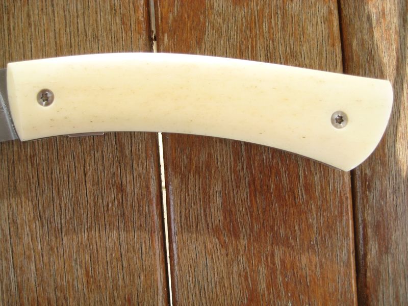 Boll_Schneider_5167s.jpg