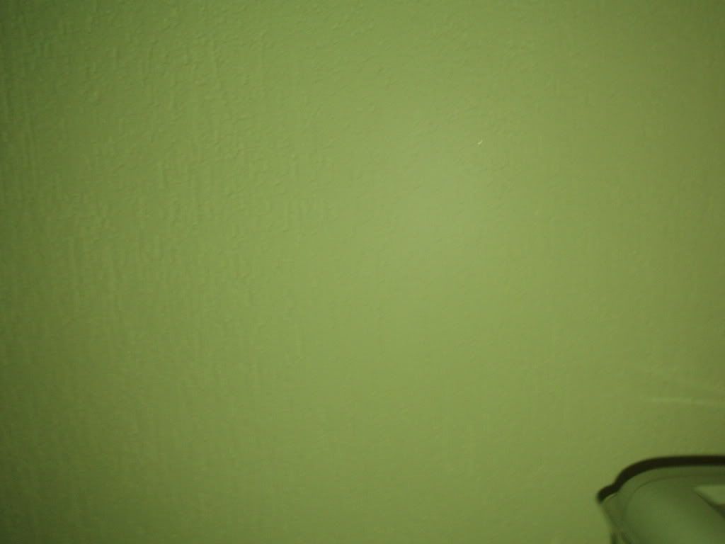 P8090076.jpg