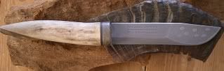 mora9.jpg
