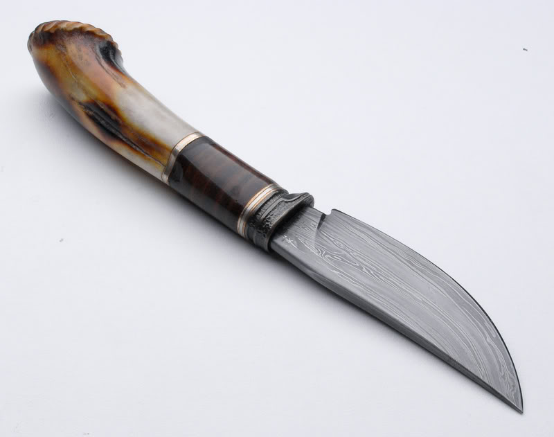 gudyvanpoppel028kd5f.jpg