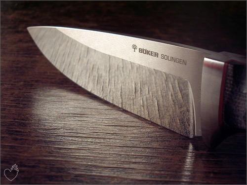 boker_savannah_06.jpg
