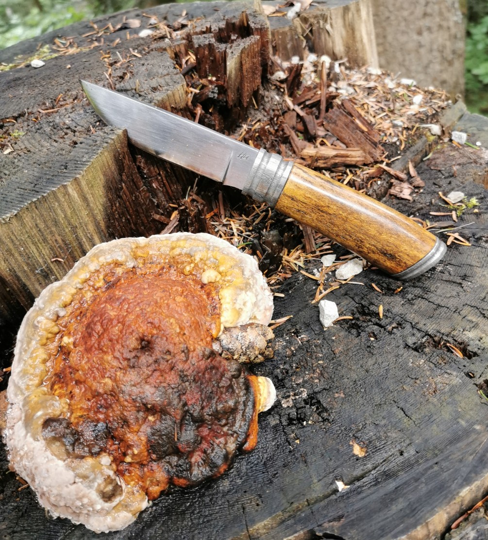 2025-09-10-Heieck-am-Pilz.jpg