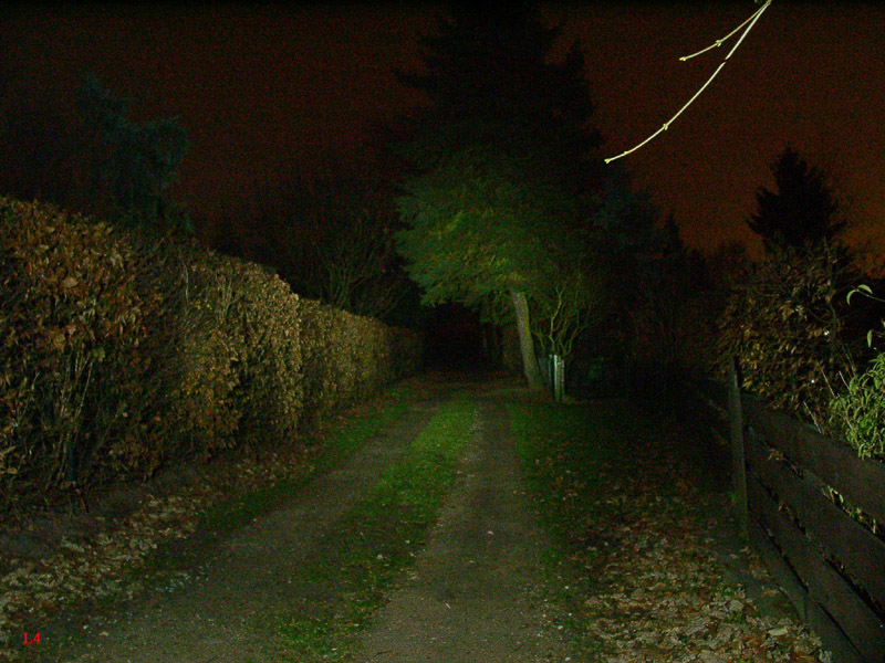 213_p1986.jpg