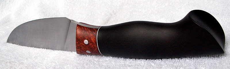 PICT5447.JPG