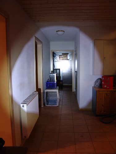 3161474078_fc02474d41.jpg