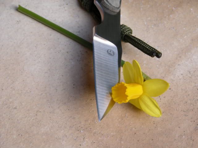 DSCN1111.jpg