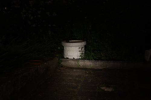 SC50w_4-12_500_x_500_.jpg
