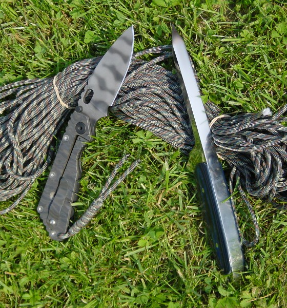 262_p2900.jpg