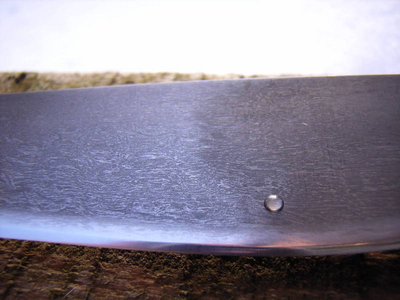 RIMG00152.JPG