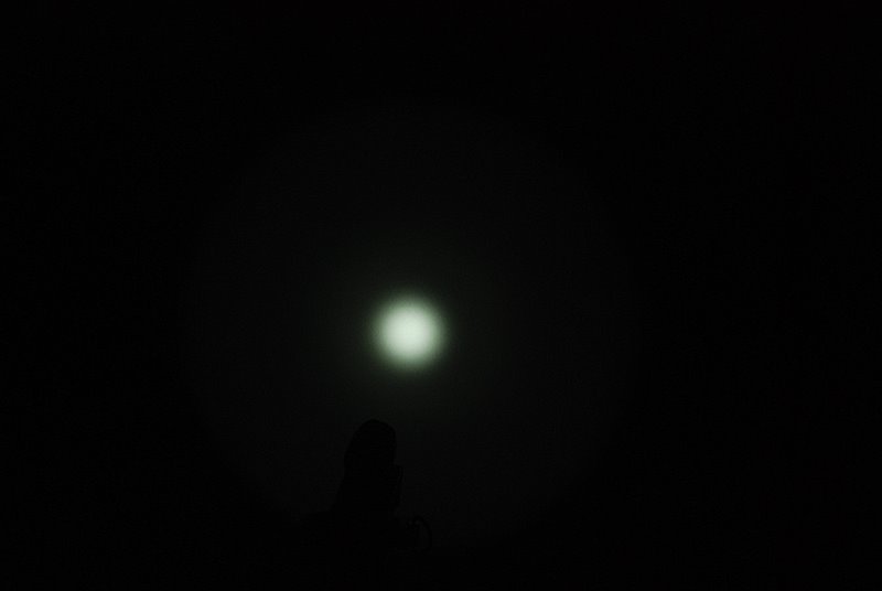 DSC_1098_TA30_low.JPG