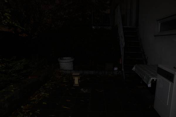 Zebright_H501-04_600_x_600_.jpg