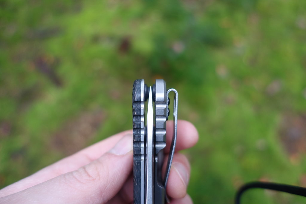 42649772ed.jpg