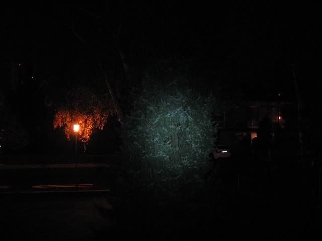 BC10_High_Baum.jpg