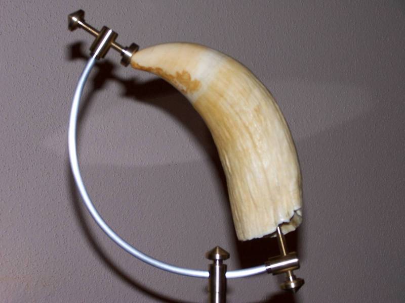 100_5097.JPG