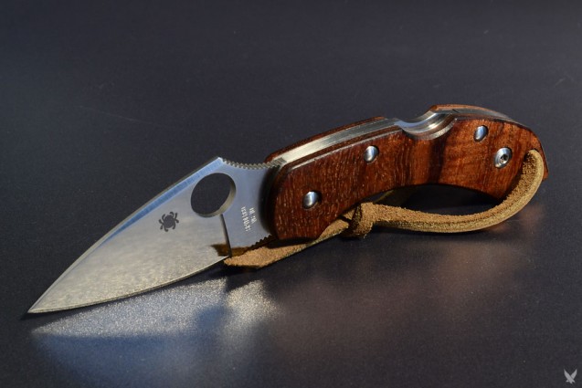 dragonfly_koa_1-637x425.jpg