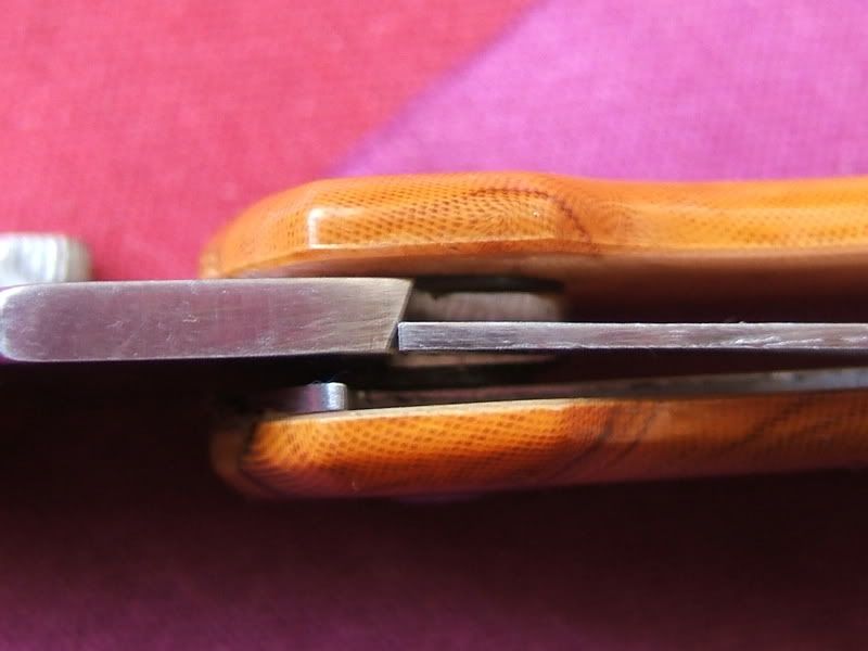 DSCF0766.jpg