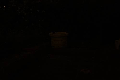 Referenzbild_02_500_x_500_.jpg