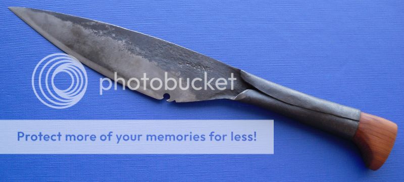 viet1_zpsa67de419.jpg