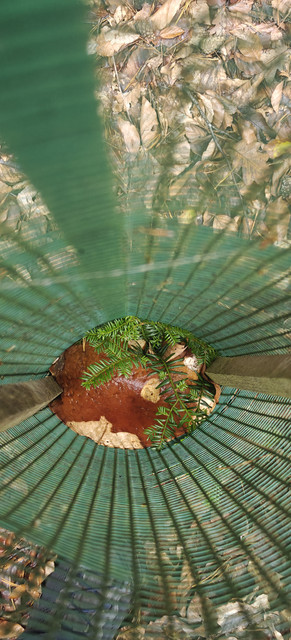 IMG20251007110614.jpg