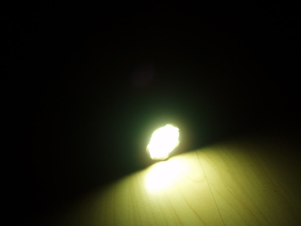 P8090065.jpg