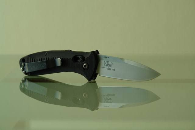 BM_5500_2.jpg