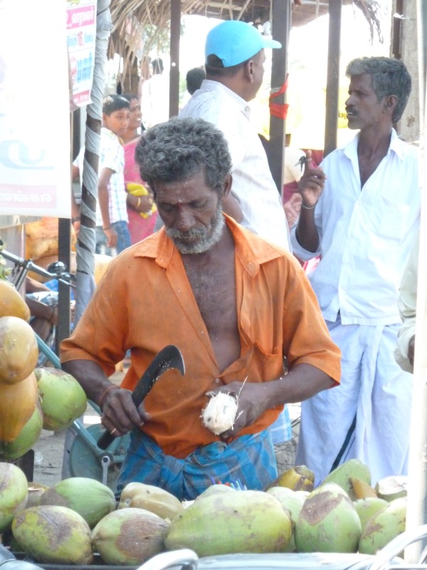 mf_india04.jpg