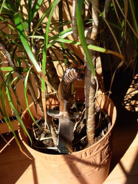 DSCN1459.jpg