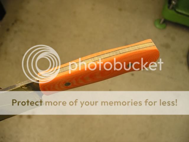 IMGP5344.jpg
