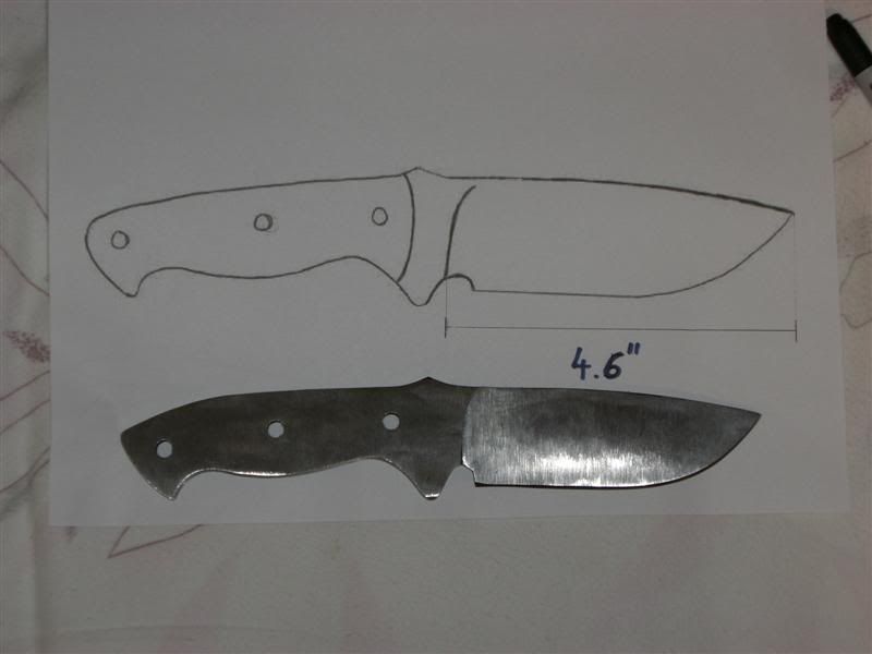 CIMG2457Medium.jpg