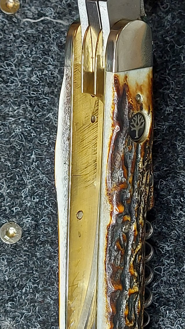 46737198kj.jpg