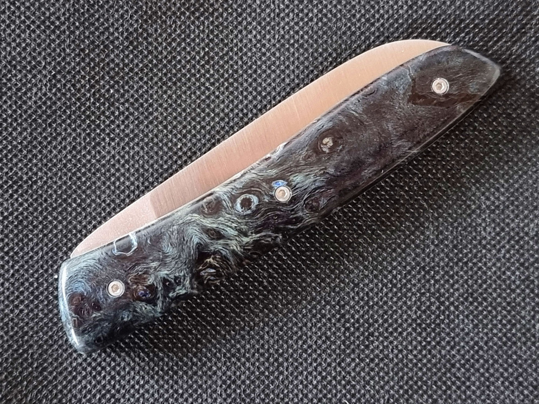 Perceval-L08-Maserpappel-2.jpg