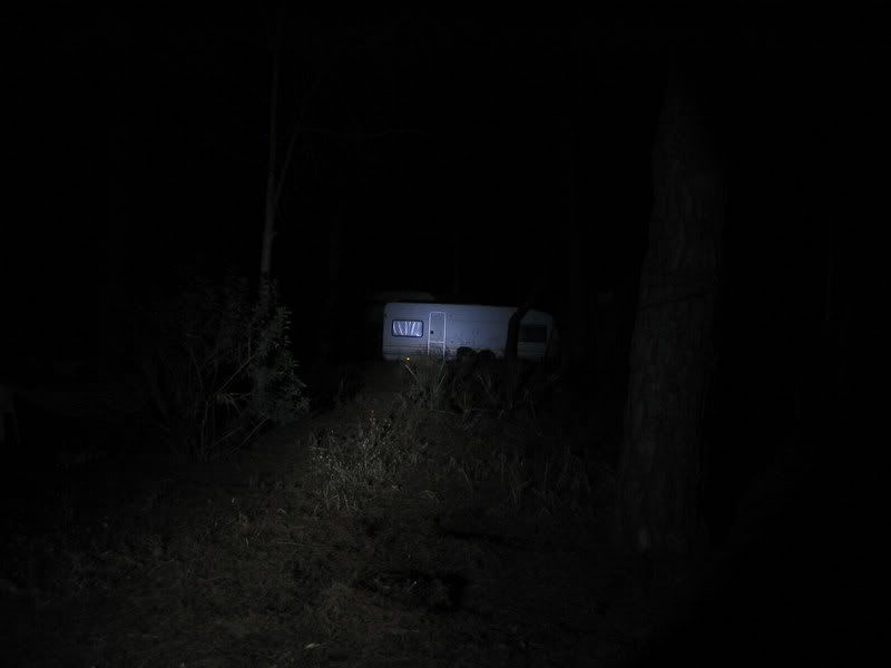 Monkey60m.jpg