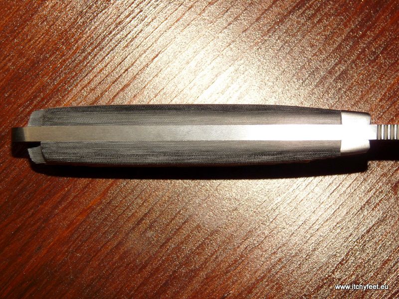 Cudeman_MT-1l6.jpg
