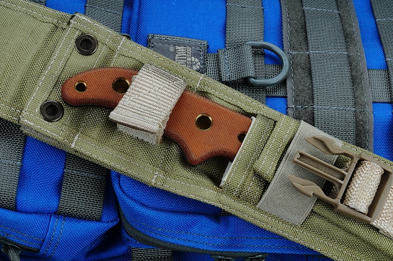 DSC_1903.JPG