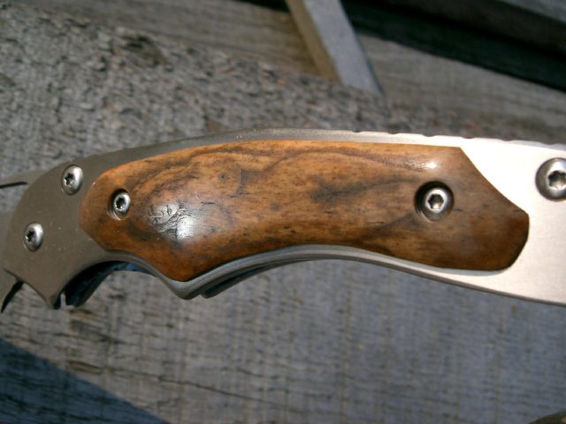 skf3.jpg