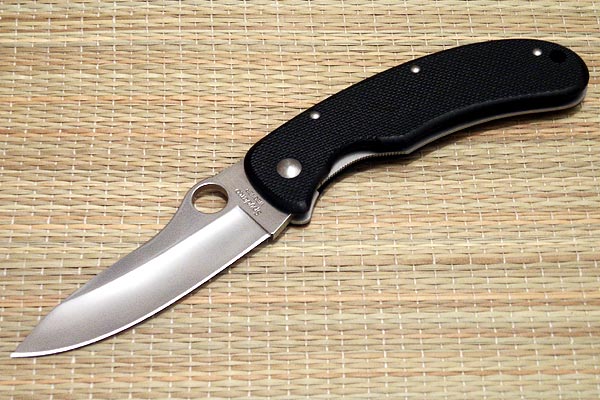 spyderco_wegner_big.jpg
