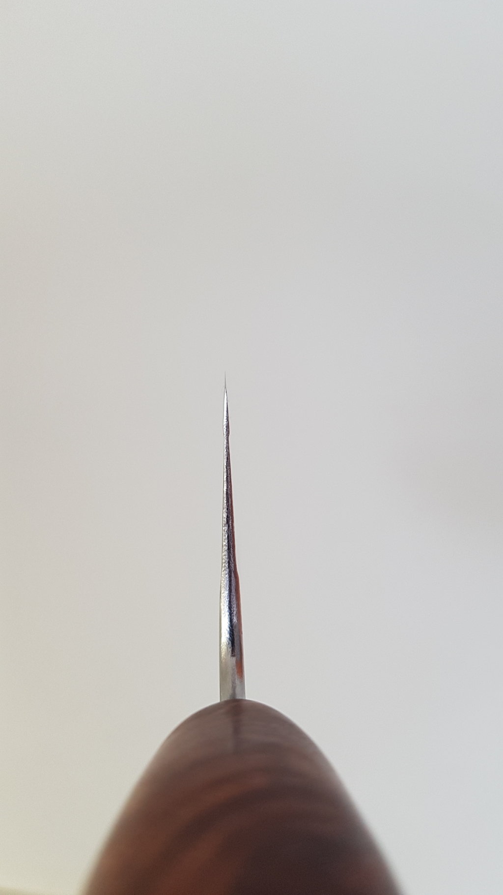 46228002lm.jpg