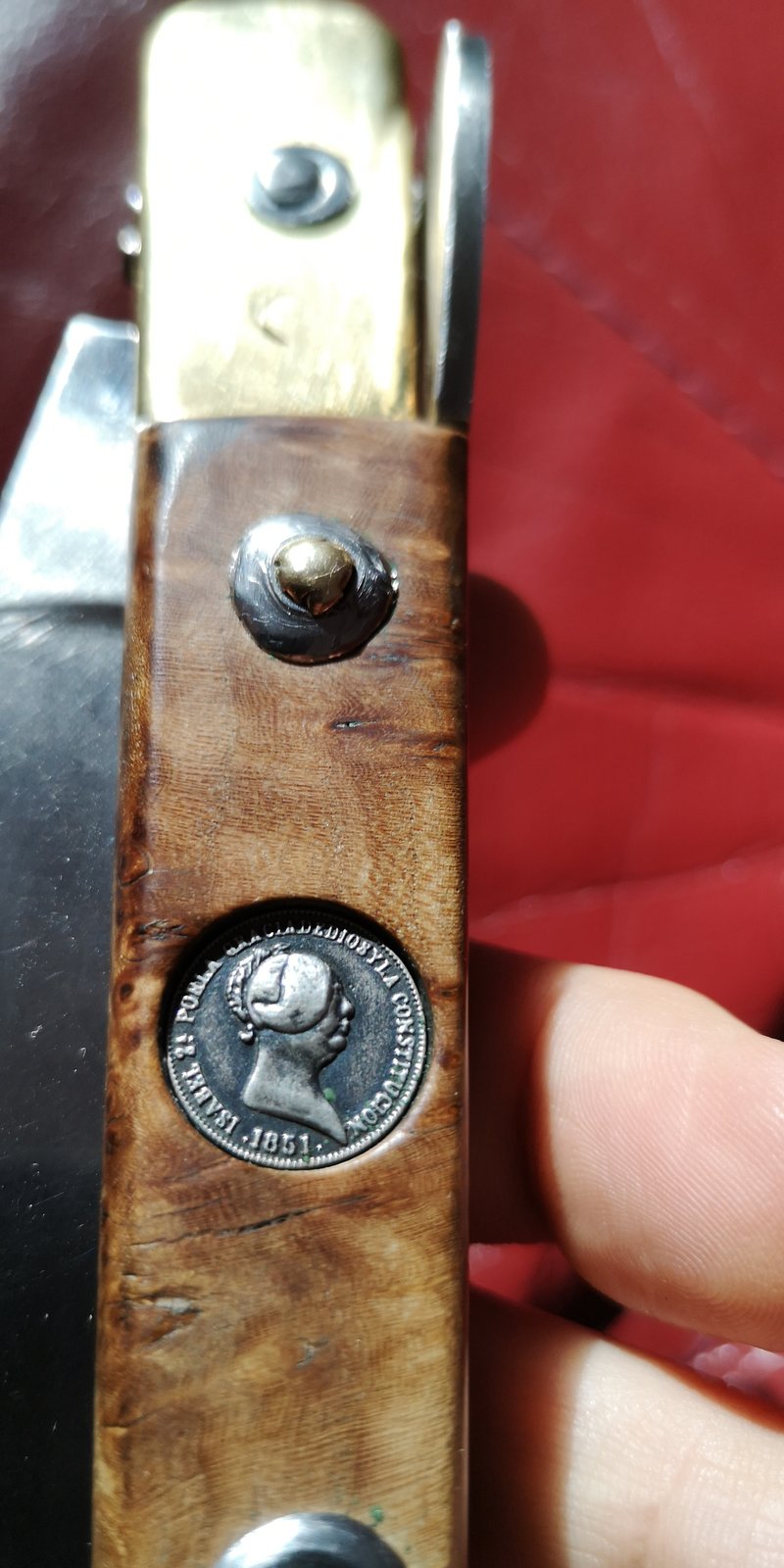 38096003mg.jpg