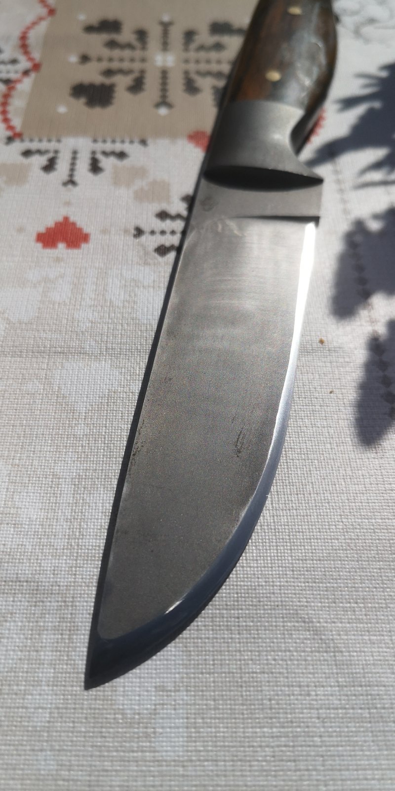 38286598rb.jpg