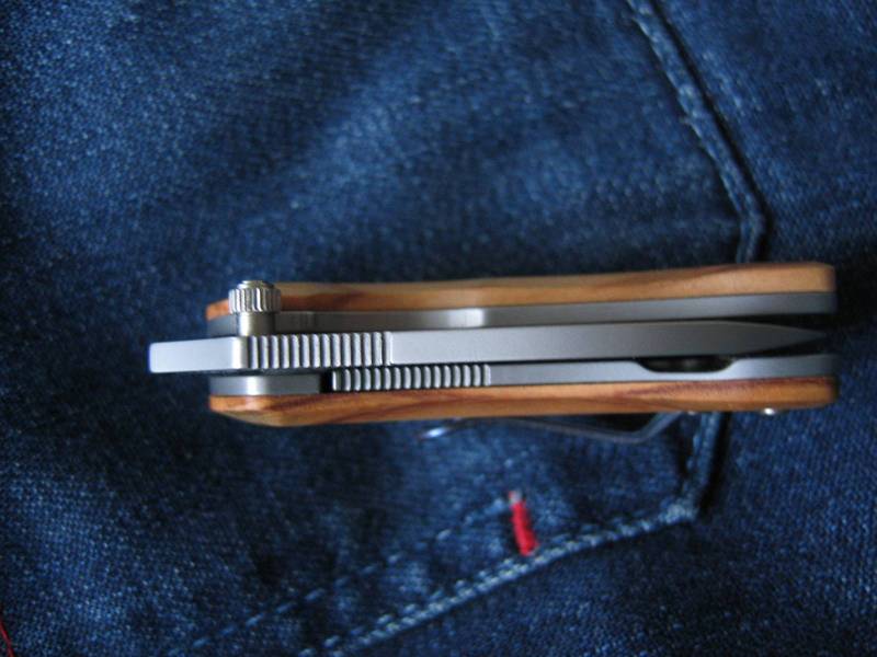 Maserin_Dolphin_006.jpg