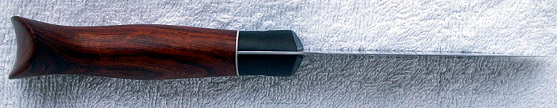 PICT5553.JPG