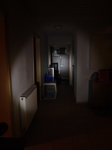 3161482042_7985eb032a.jpg