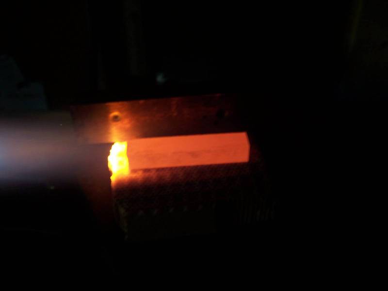 100_51361.JPG