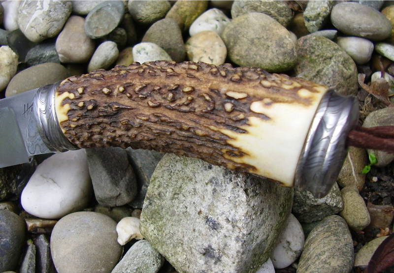 Hirsch_mit_Torsion_027.jpg