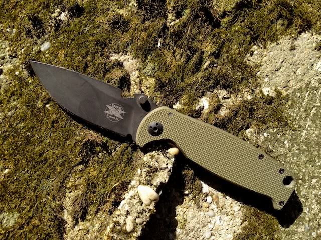 DPx_HEST_20_001.jpg