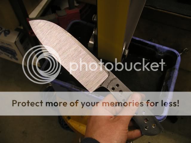 IMGP5229.jpg