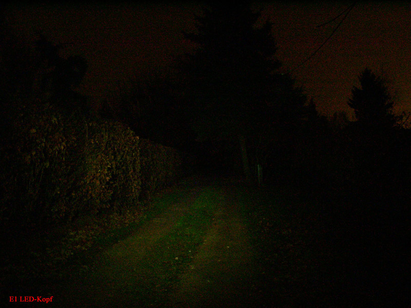 213_p1993.jpg