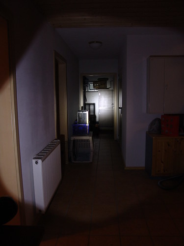 3160644649_ffe53b4f57.jpg